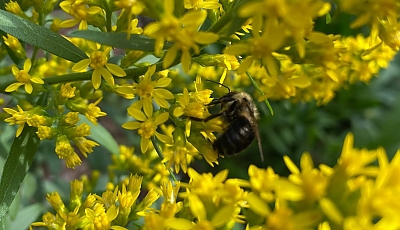 staff preparing for a sustainability program banner